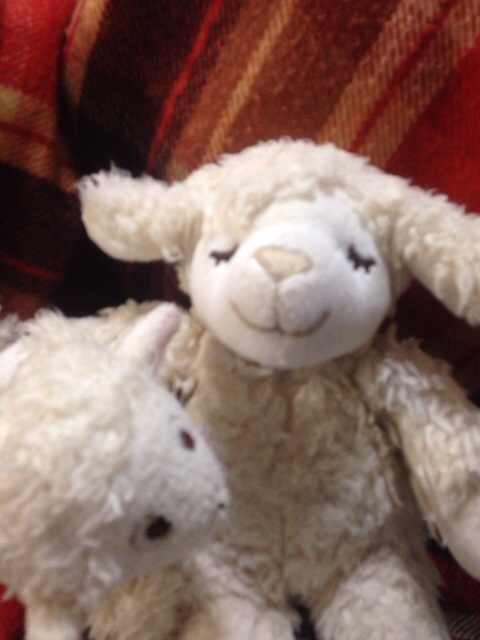 f:id:loveplanet:20150101091130j:plain f:id:loveplanet:20150101091130j:plain