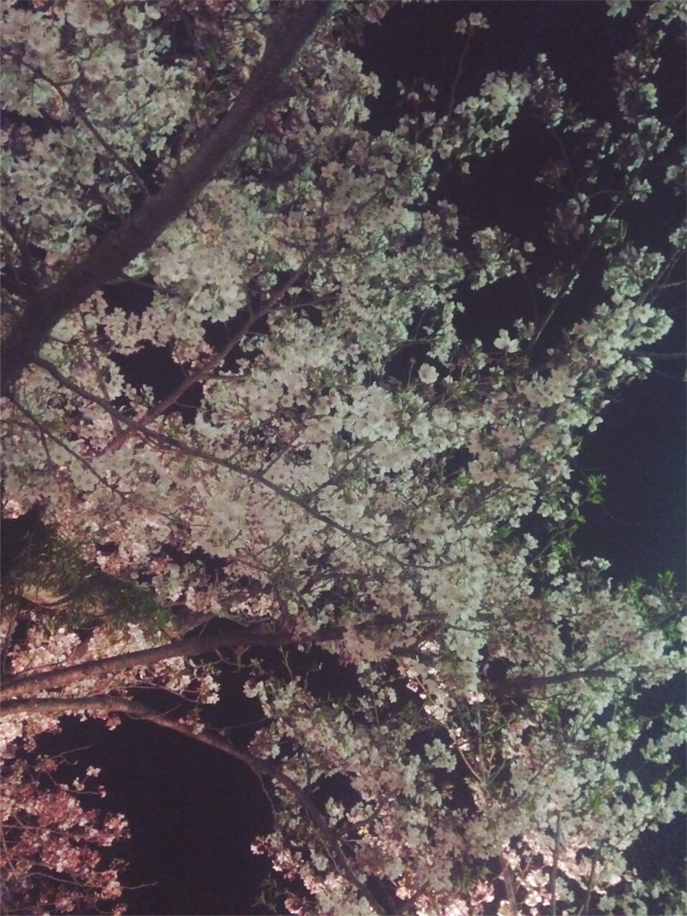 f:id:loveplanet:20160411192513j:image f:id:loveplanet:20160411192513j:image