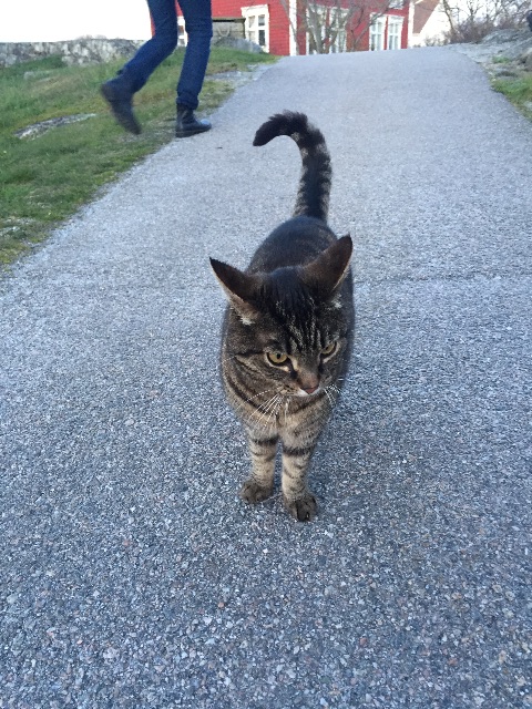 f:id:lovetheworldyoulive:20150704162951j:image f:id:lovetheworldyoulive:20150704162951j:image