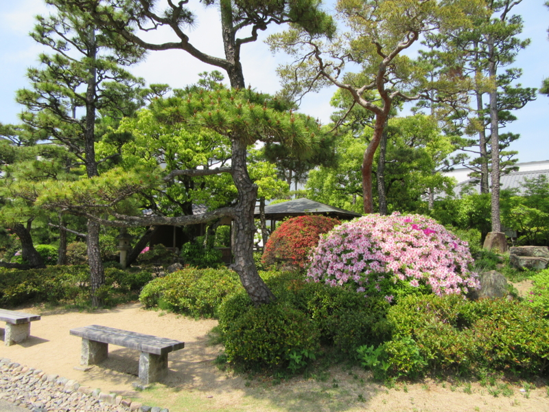 f:id:lpnumbmtorg5:20160507181447j:plain f:id:lpnumbmtorg5:20160507181447j:plain