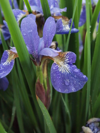 f:id:lubu:20100623163032j:image f:id:lubu:20100623163032j:image