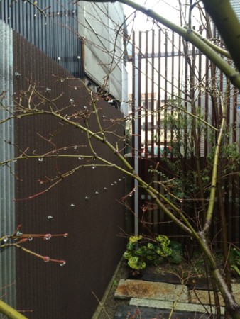 f:id:lulu_bataille:20150122082552j:image:w130:left