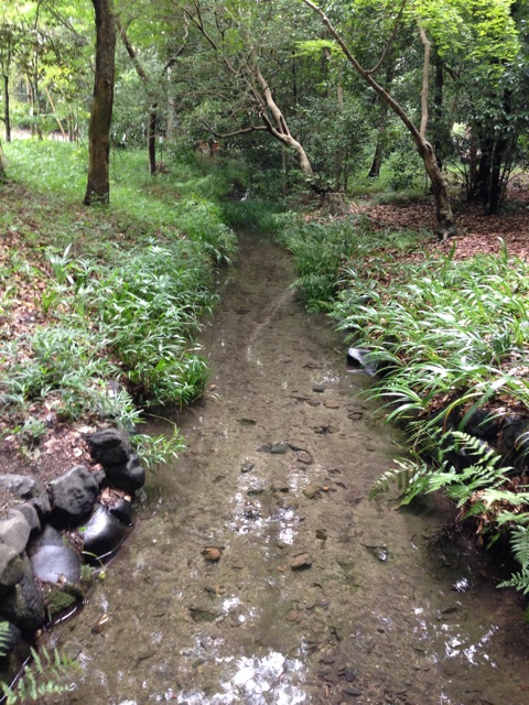 f:id:lungta:20140728072448j:plain f:id:lungta:20140728072448j:plain