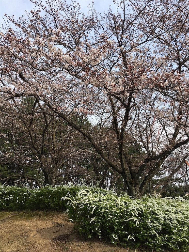 f:id:luvn:20160331091326j:image f:id:luvn:20160331091326j:image