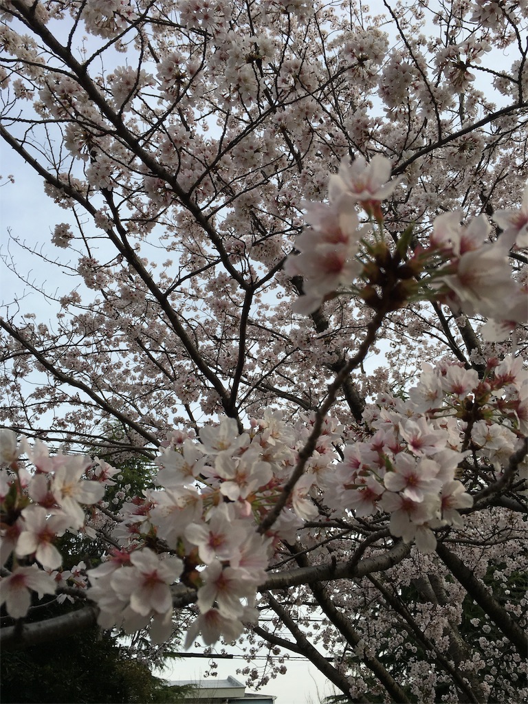 f:id:luvn:20160406215219j:image f:id:luvn:20160406215219j:image