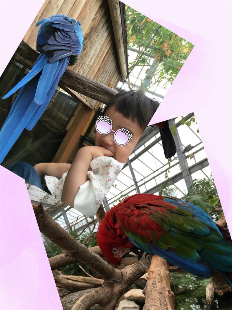 f:id:luvn:20160502083046j:image f:id:luvn:20160502083046j:image