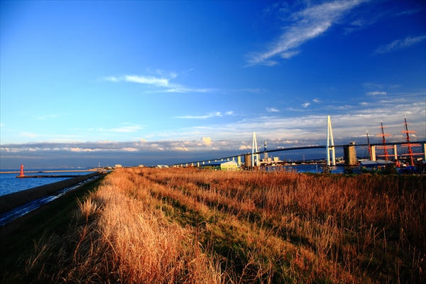 f:id:lynrabbit:20111112162338j:plain f:id:lynrabbit:20111112162338j:plain
