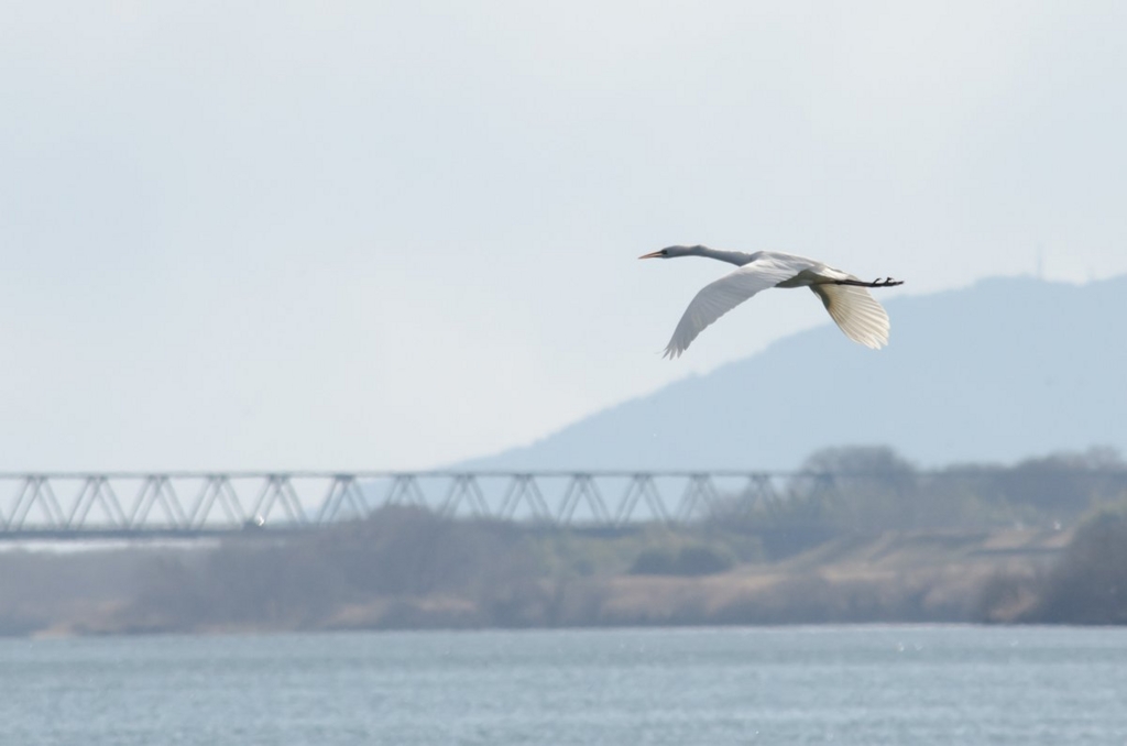 f:id:lynx168:20130216145556j:image:w640 f:id:lynx168:20130216145556j:image:w640