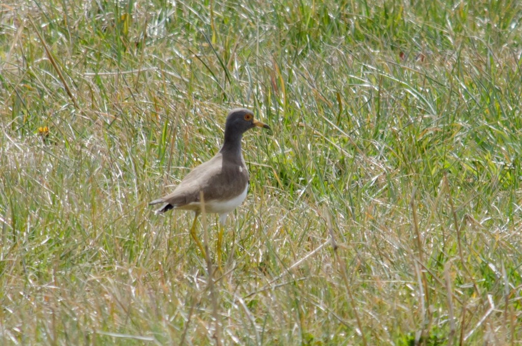 f:id:lynx168:20130220120451j:image:w640 f:id:lynx168:20130220120451j:image:w640