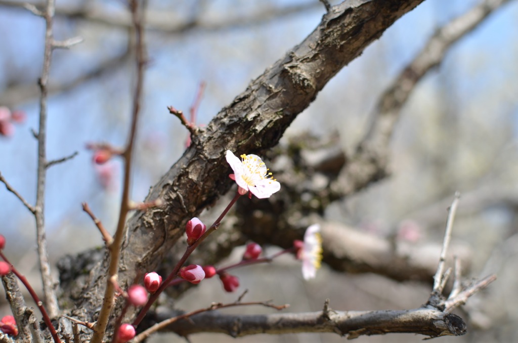 f:id:lynx168:20140315142655j:image f:id:lynx168:20140315142655j:image