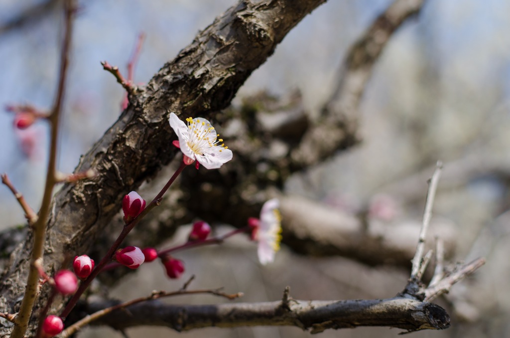 f:id:lynx168:20140315142656j:image f:id:lynx168:20140315142656j:image