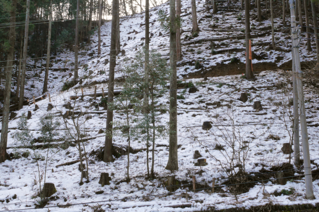 f:id:m-at:20160131122754j:plain