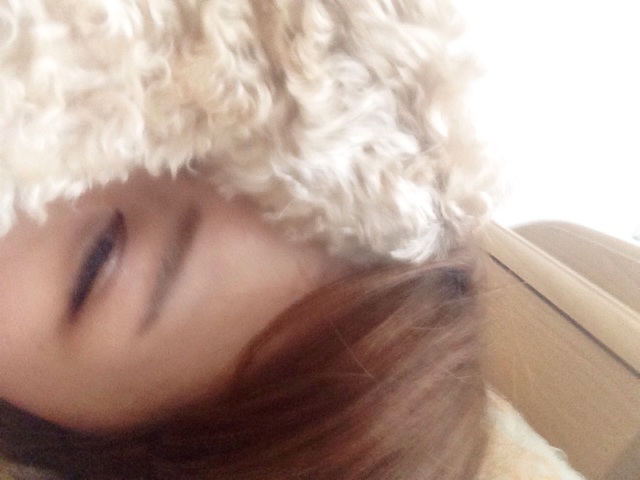 f:id:m-chou06181120146:20150213142434j:plain f:id:m-chou06181120146:20150213142434j:plain