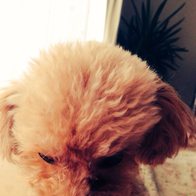 f:id:m-chou06181120146:20150304224522j:plain f:id:m-chou06181120146:20150304224522j:plain
