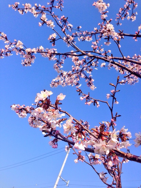 f:id:m-chou06181120146:20150423225407j:plain f:id:m-chou06181120146:20150423225407j:plain