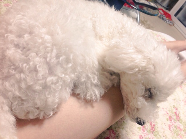 f:id:m-chou06181120146:20150510223559j:plain f:id:m-chou06181120146:20150510223559j:plain