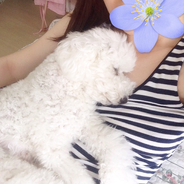 f:id:m-chou06181120146:20150616230944j:image f:id:m-chou06181120146:20150616230944j:image