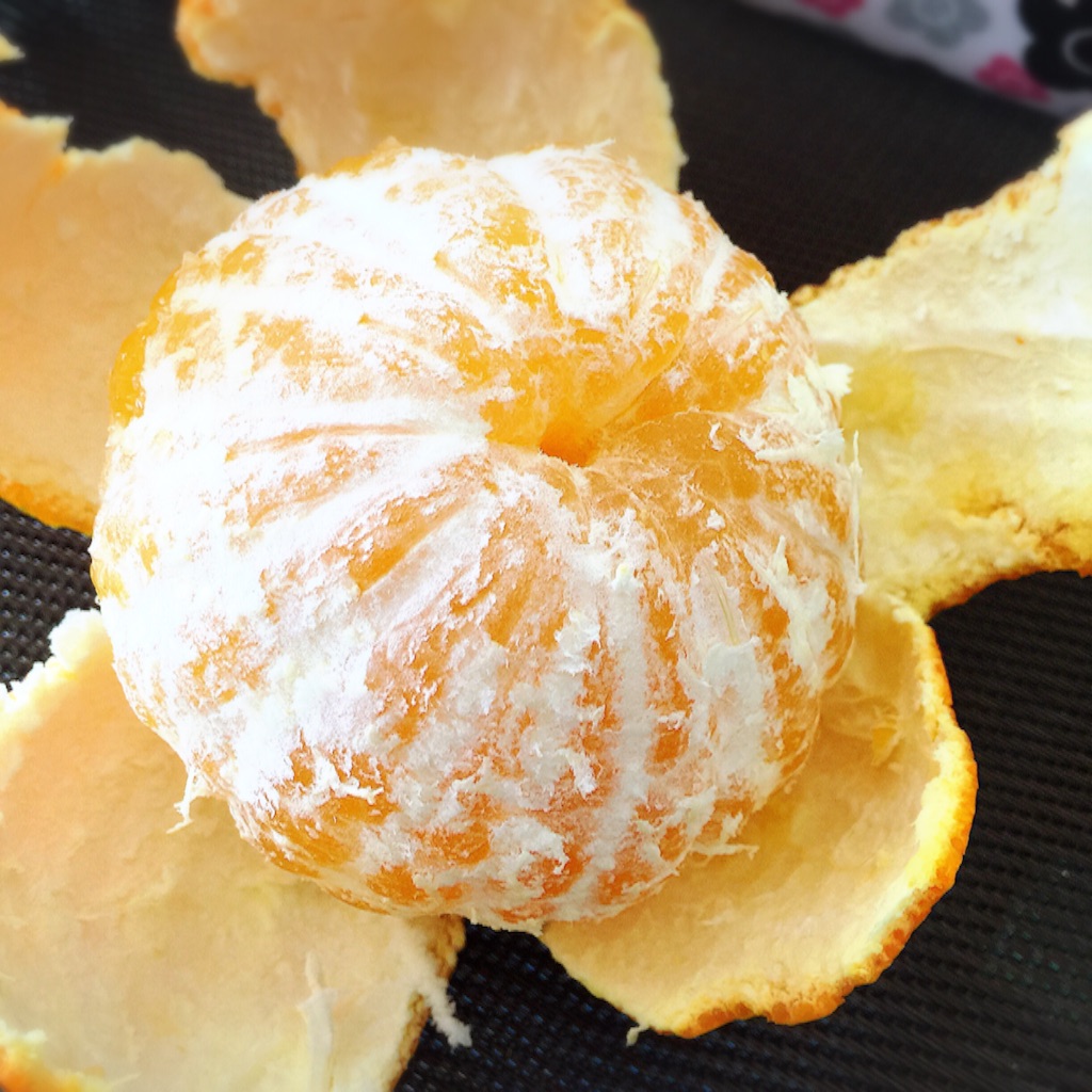 f:id:m-chou06181120146:20151215130856j:image f:id:m-chou06181120146:20151215130856j:image