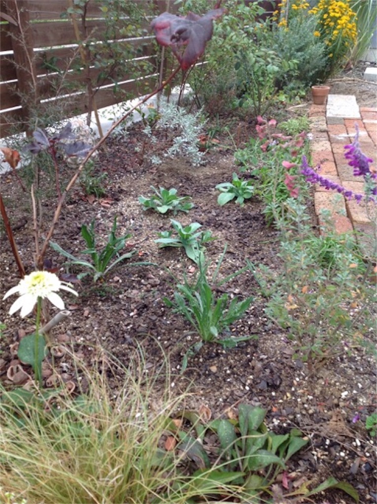 f:id:m-garden-life:20151106150935j:image f:id:m-garden-life:20151106150935j:image