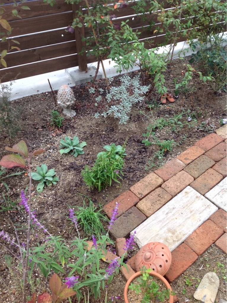 f:id:m-garden-life:20151106151623j:image f:id:m-garden-life:20151106151623j:image
