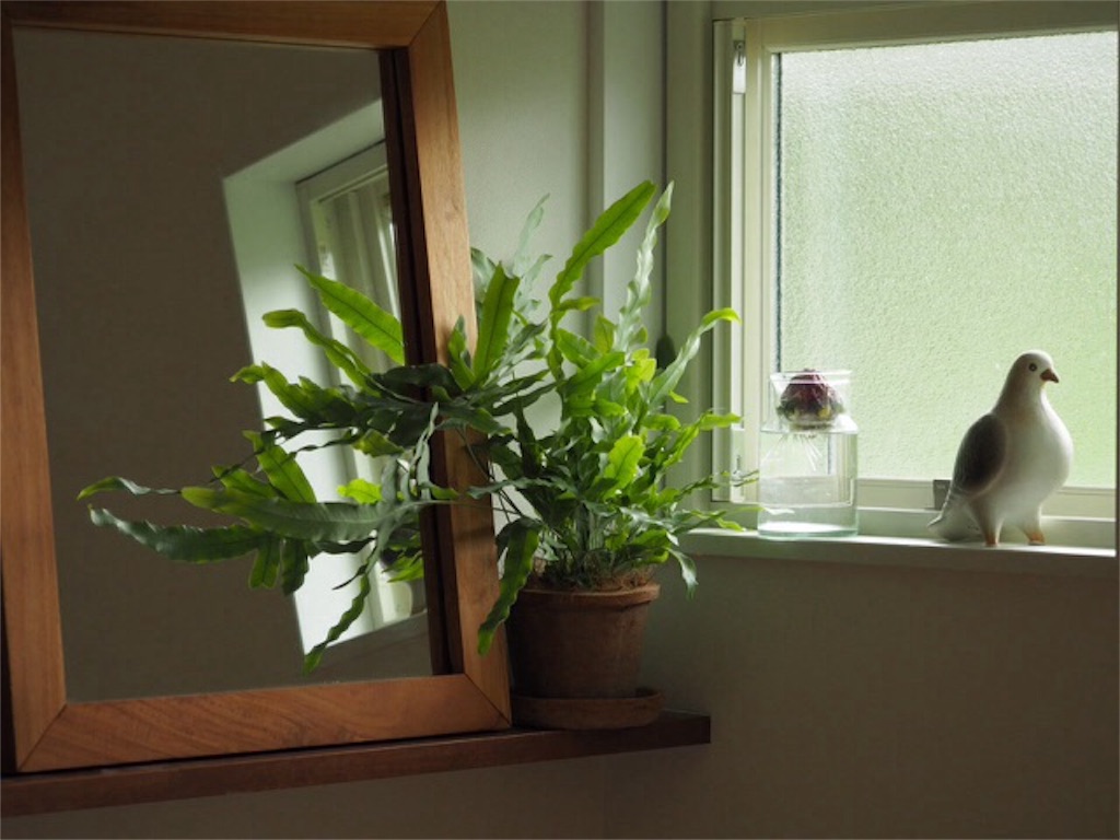 f:id:m-garden-life:20151119124543j:image f:id:m-garden-life:20151119124543j:image