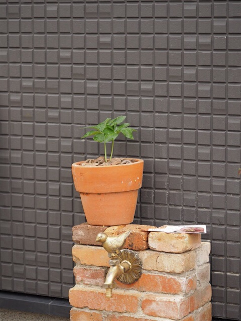 f:id:m-garden-life:20151123123046j:image f:id:m-garden-life:20151123123046j:image