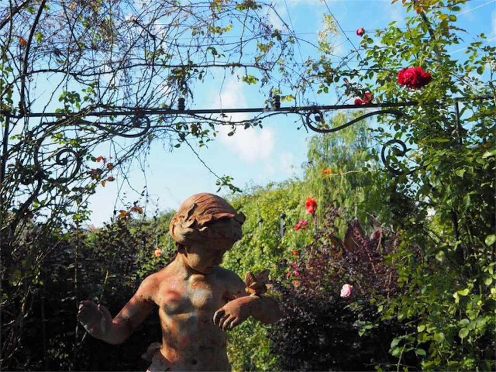 f:id:m-garden-life:20151130194541j:image f:id:m-garden-life:20151130194541j:image