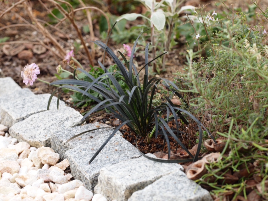 f:id:m-garden-life:20151201170055j:image f:id:m-garden-life:20151201170055j:image