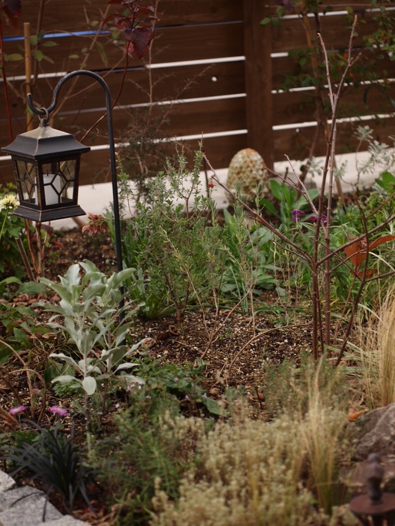 f:id:m-garden-life:20151205111850j:image f:id:m-garden-life:20151205111850j:image