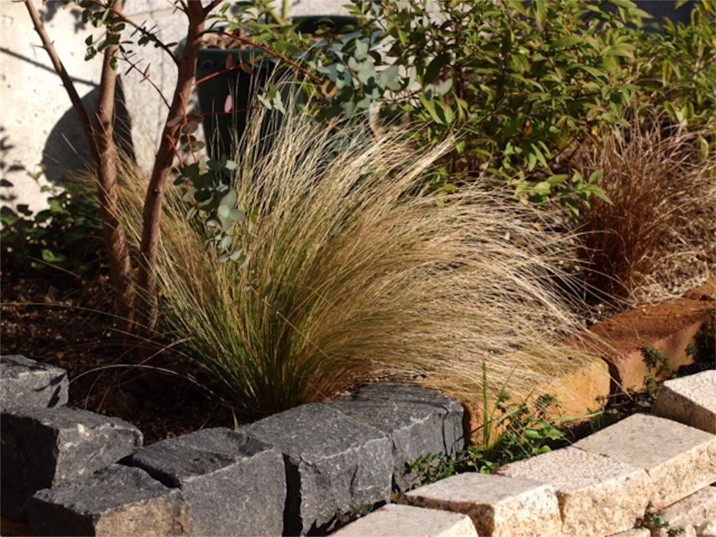 f:id:m-garden-life:20151208104849j:image f:id:m-garden-life:20151208104849j:image