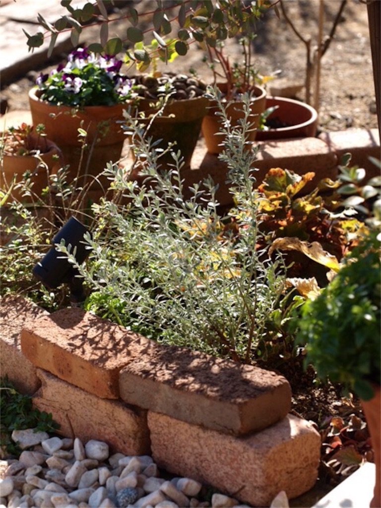 f:id:m-garden-life:20151208105132j:image f:id:m-garden-life:20151208105132j:image