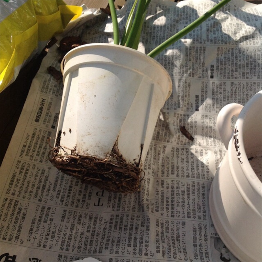 f:id:m-garden-life:20160209154846j:image f:id:m-garden-life:20160209154846j:image
