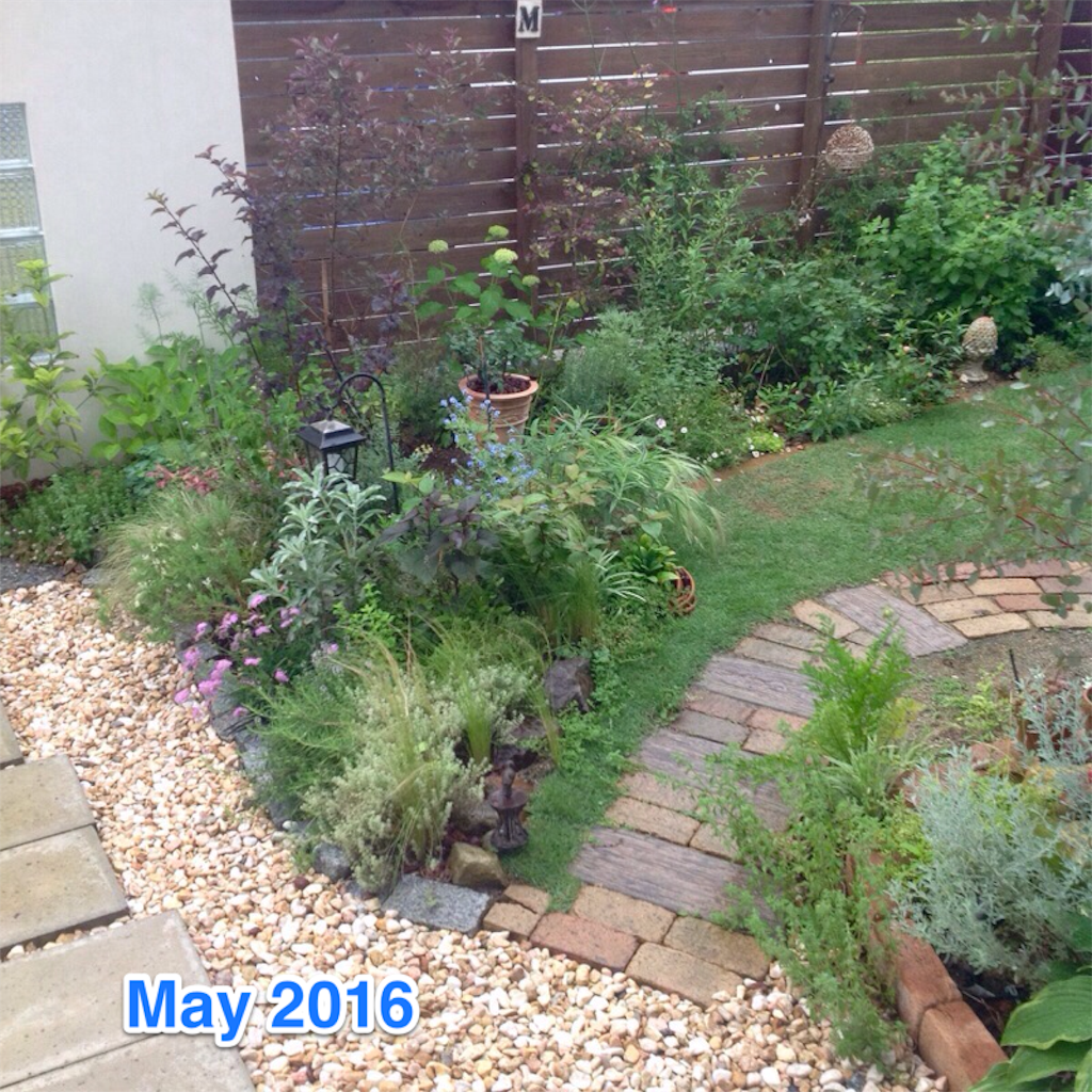 f:id:m-garden-life:20160529101839p:image f:id:m-garden-life:20160529101839p:image