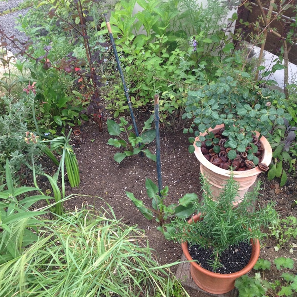 f:id:m-garden-life:20160529102041j:image f:id:m-garden-life:20160529102041j:image