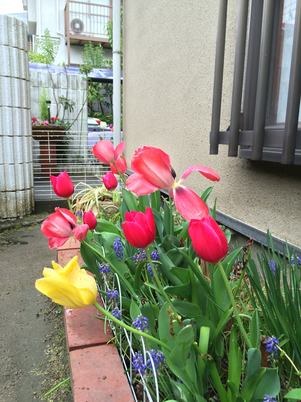 f:id:m-hatch:20150405214803j:plain f:id:m-hatch:20150405214803j:plain