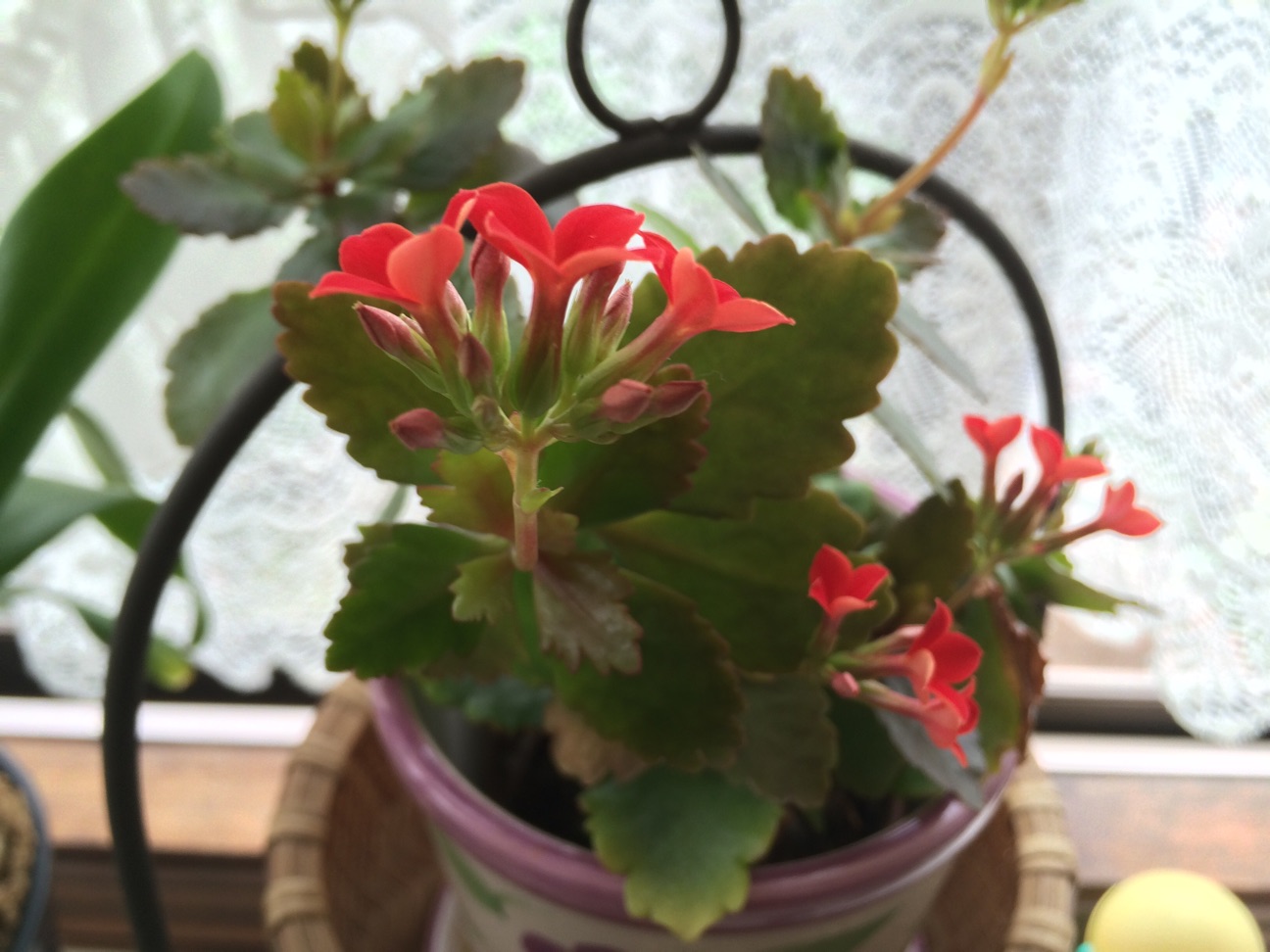 f:id:m-hatch:20150405220143j:plain f:id:m-hatch:20150405220143j:plain