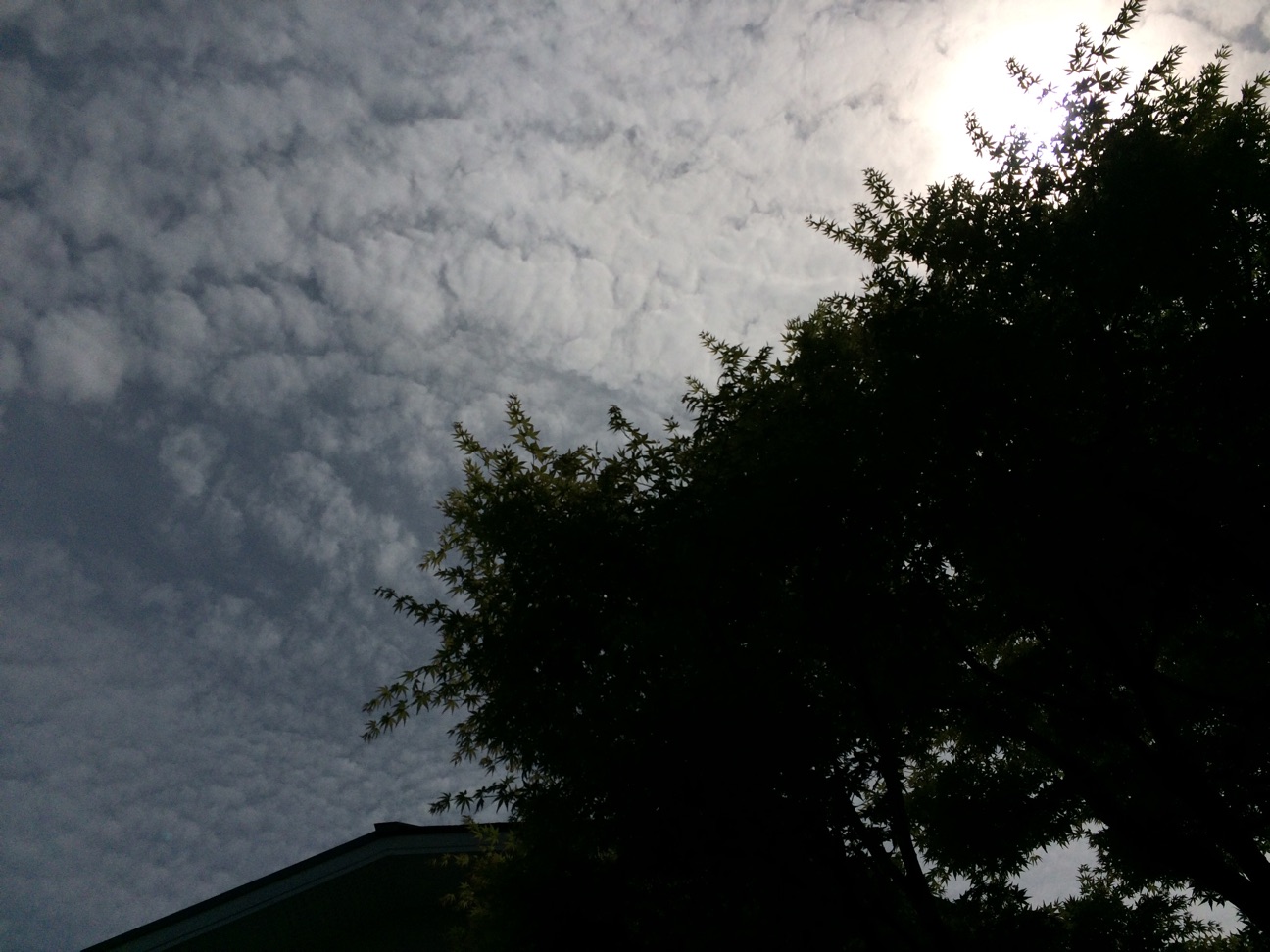 f:id:m-hatch:20150412235923j:plain f:id:m-hatch:20150412235923j:plain