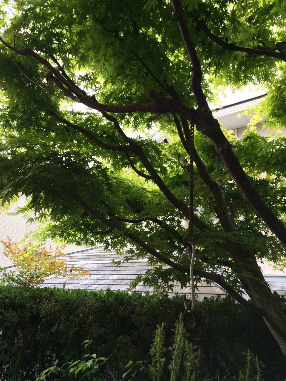 f:id:m-hatch:20150419151418j:plain f:id:m-hatch:20150419151418j:plain