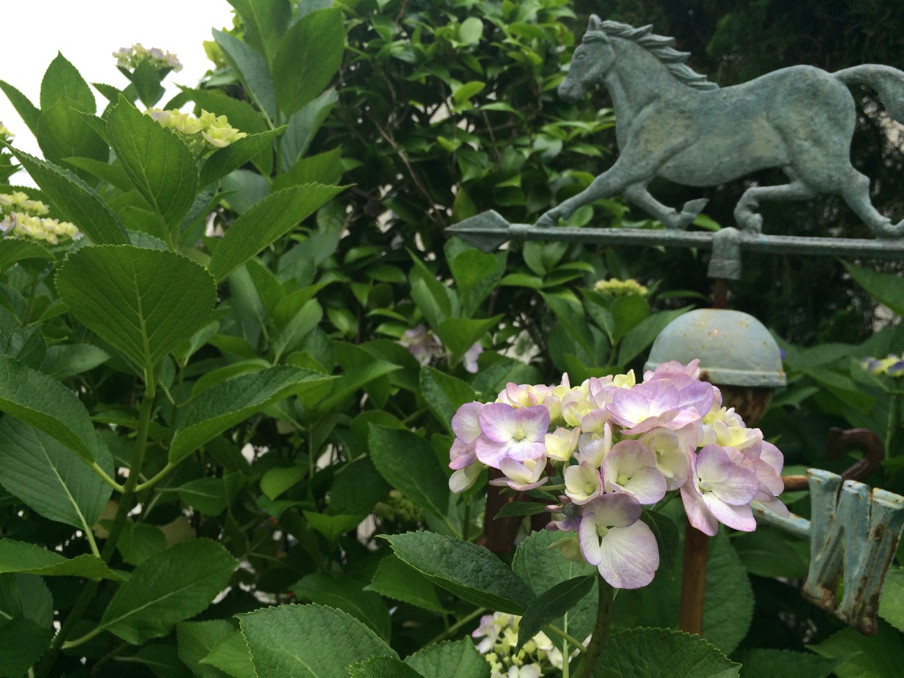 f:id:m-hatch:20150608212216j:image f:id:m-hatch:20150608212216j:image