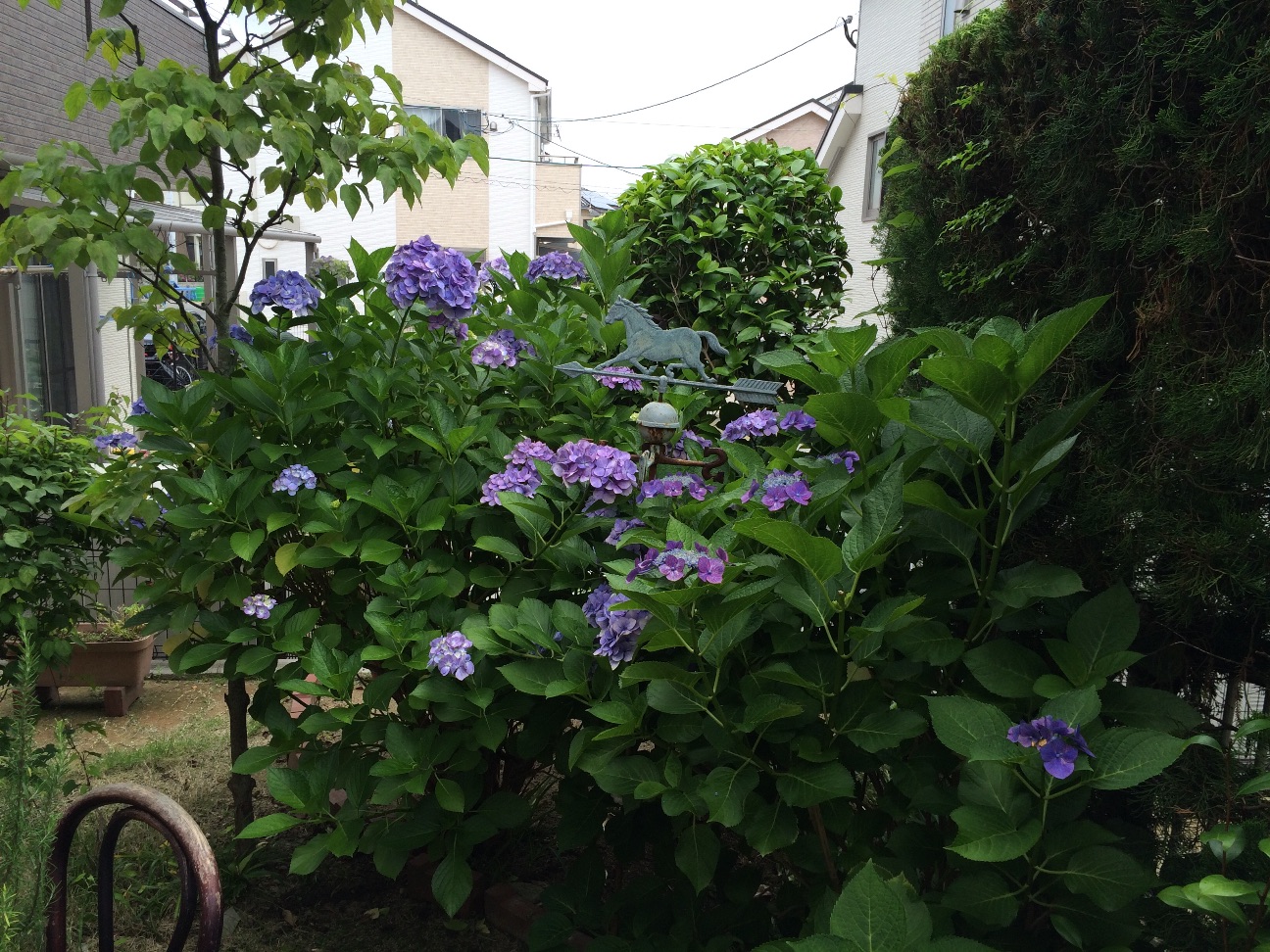 f:id:m-hatch:20150624224353j:image f:id:m-hatch:20150624224353j:image