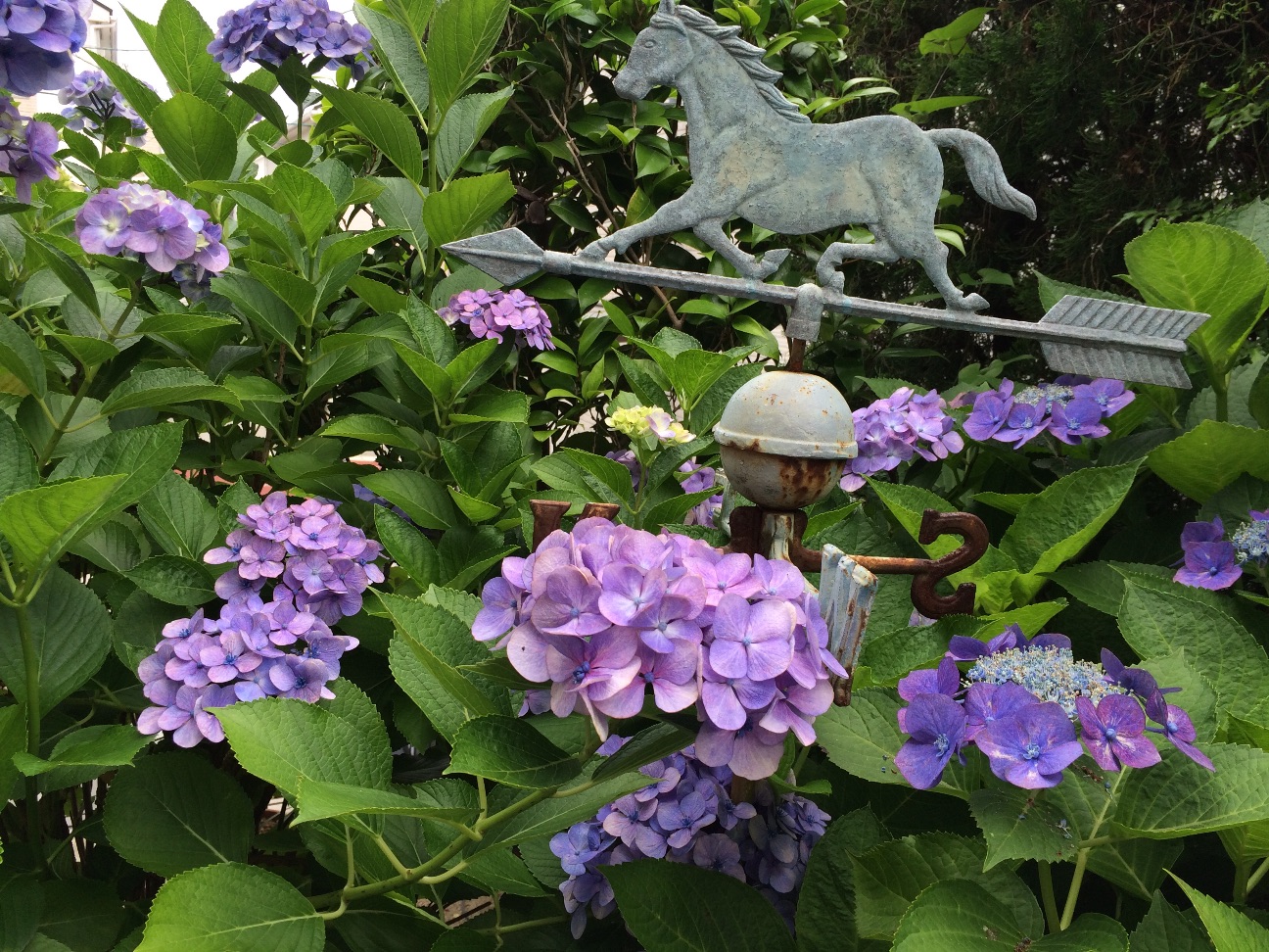 f:id:m-hatch:20150624224503j:image f:id:m-hatch:20150624224503j:image