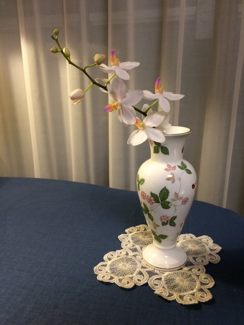 f:id:m-hatch:20150707004726j:image f:id:m-hatch:20150707004726j:image