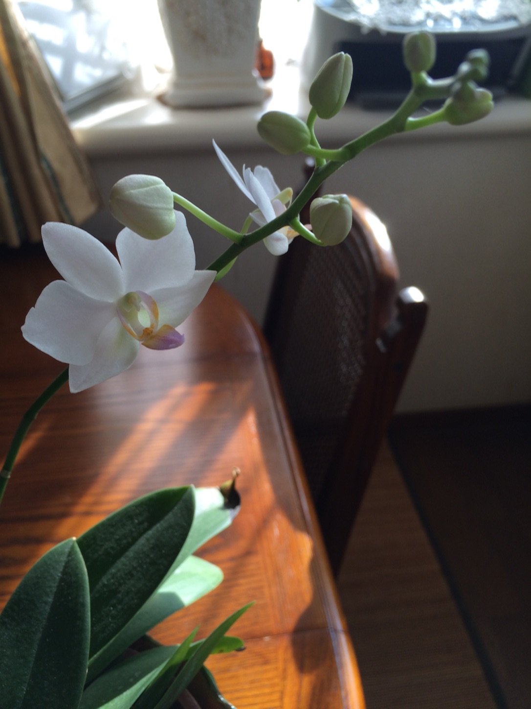 f:id:m-hatch:20150716001258j:image f:id:m-hatch:20150716001258j:image