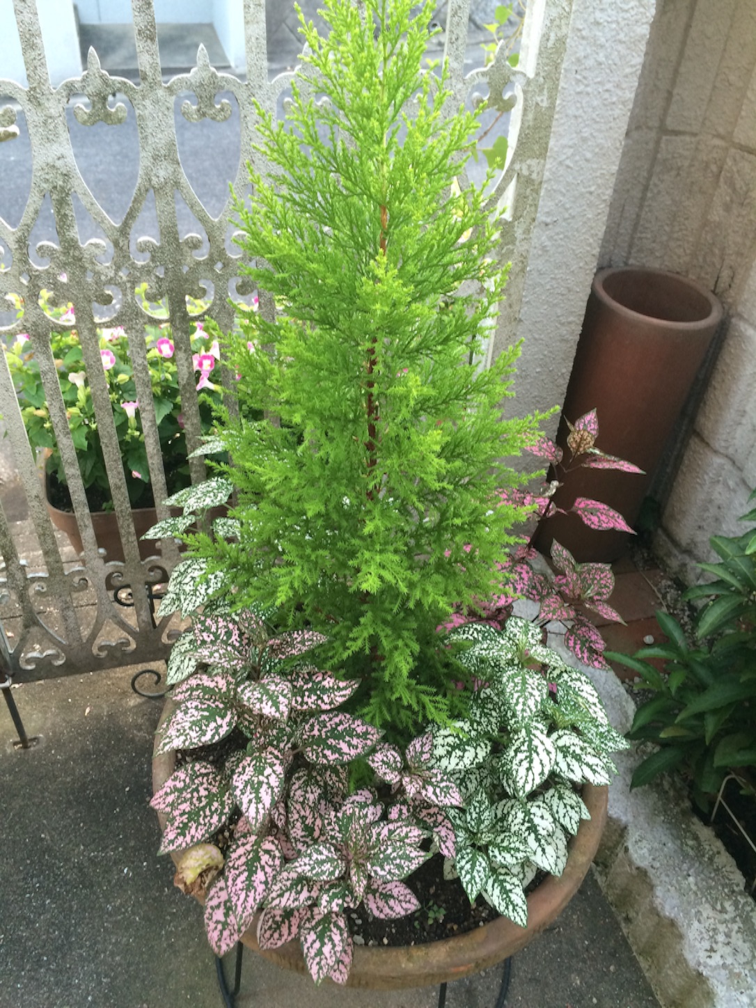 f:id:m-hatch:20150731124101j:image f:id:m-hatch:20150731124101j:image