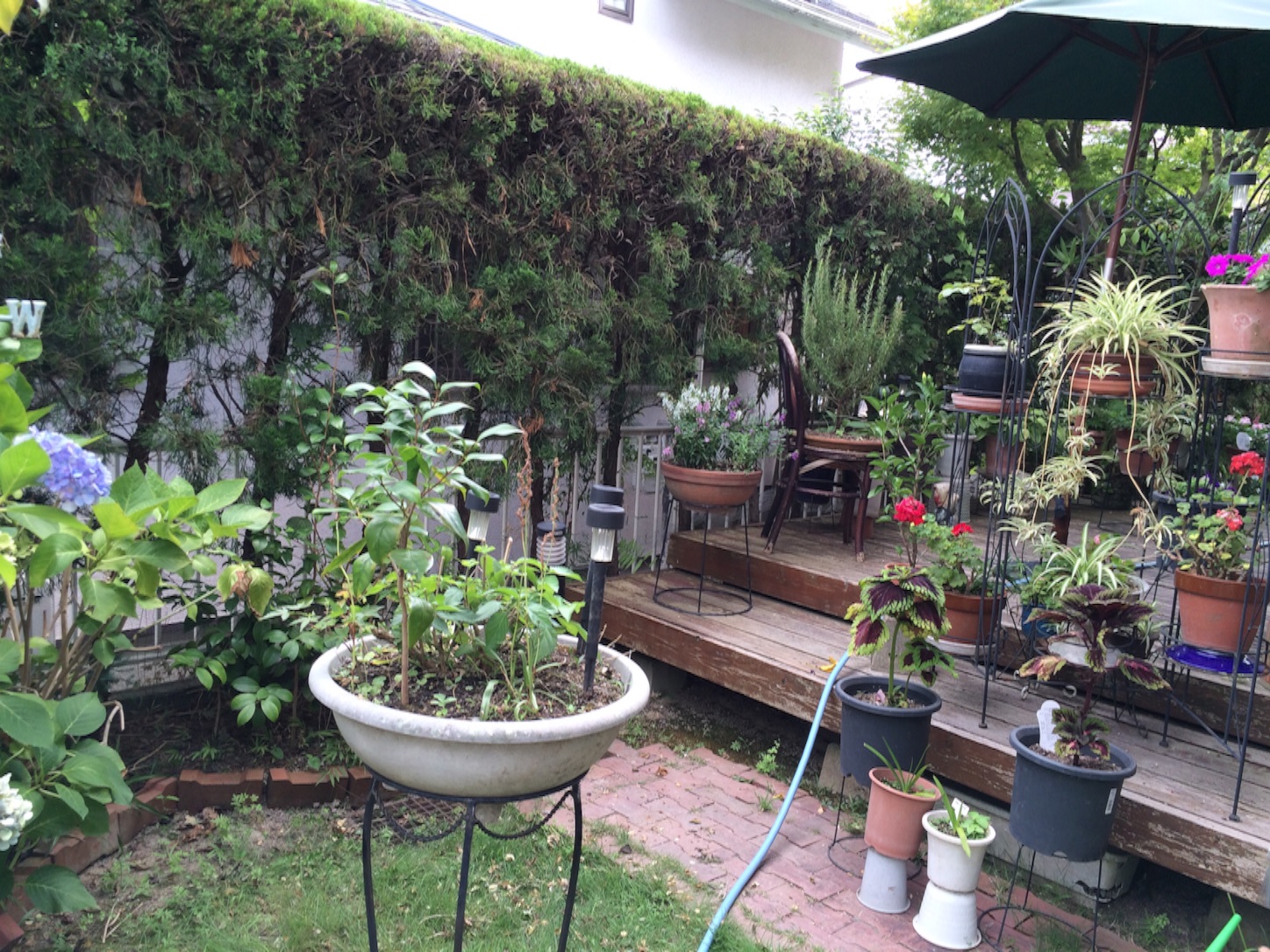 f:id:m-hatch:20150811155243j:image f:id:m-hatch:20150811155243j:image