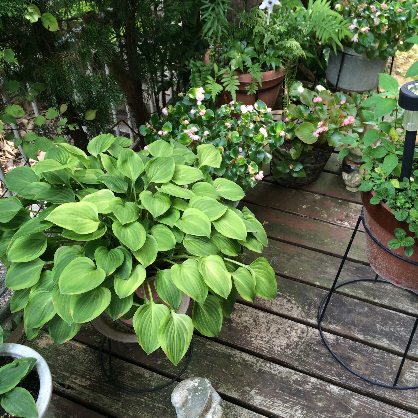 f:id:m-hatch:20150811160158j:image f:id:m-hatch:20150811160158j:image