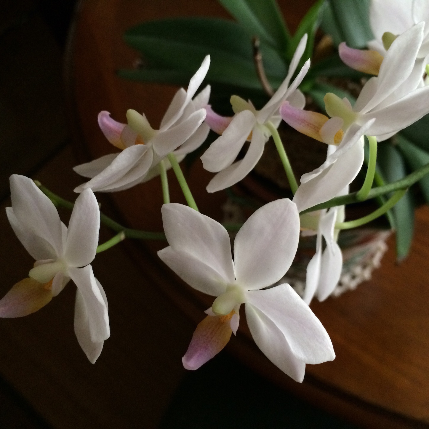 f:id:m-hatch:20150903230518j:image f:id:m-hatch:20150903230518j:image