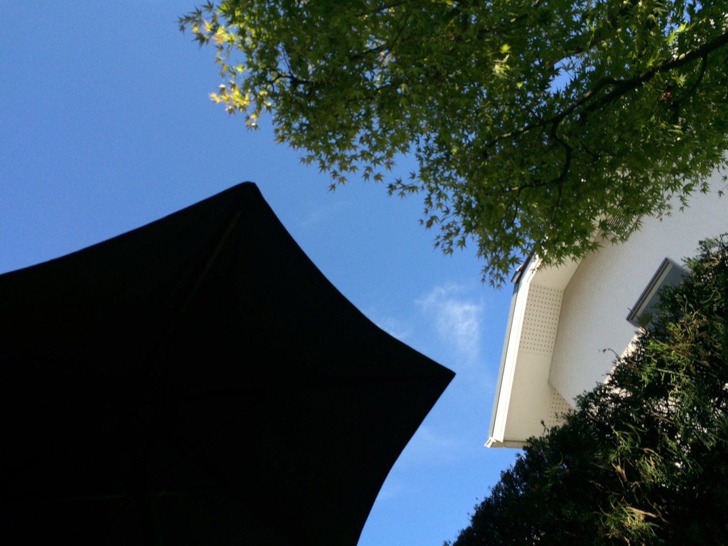 f:id:m-hatch:20150913210129j:image f:id:m-hatch:20150913210129j:image