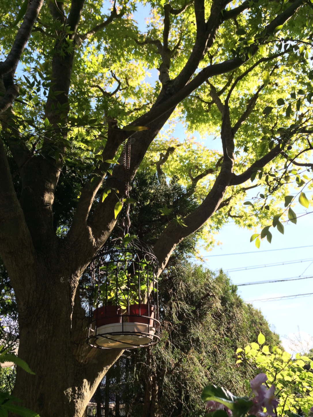 f:id:m-hatch:20150913210212j:image f:id:m-hatch:20150913210212j:image