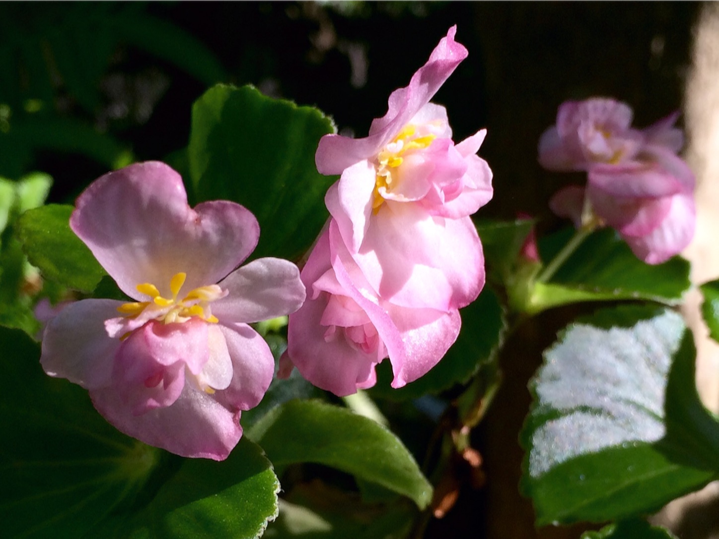 f:id:m-hatch:20150913210623j:image f:id:m-hatch:20150913210623j:image